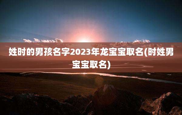 姓时的男孩名字2023年龙宝宝取名(时姓男宝宝取名)