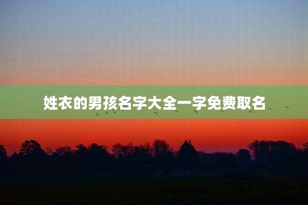 姓衣的男孩名字大全一字免费取名