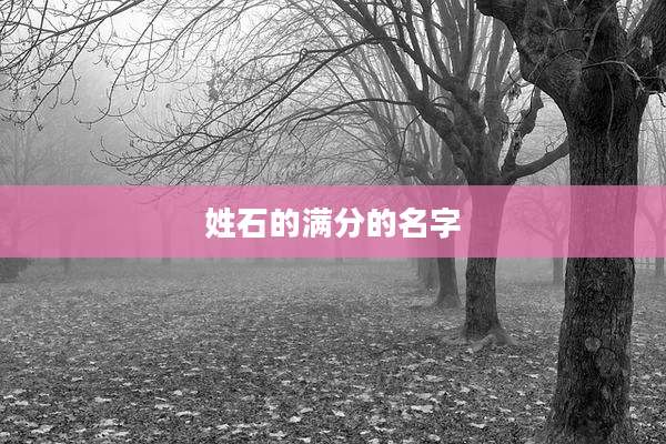 姓石的满分的名字