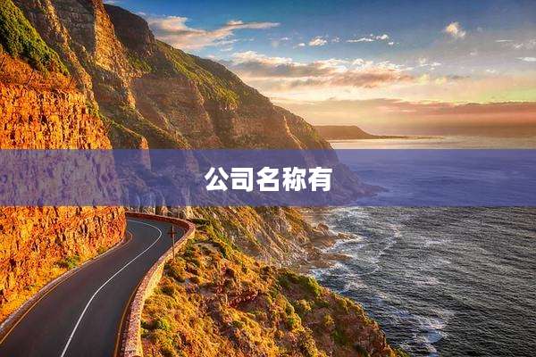 公司名称有