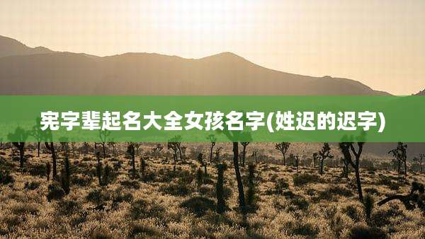 宪字辈起名大全女孩名字(姓迟的迟字)