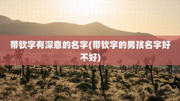 带钦字有深意的名字(带钦字的男孩名字好不好)