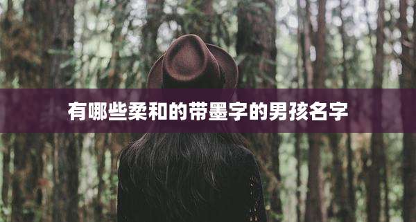 有哪些柔和的带墨字的男孩名字