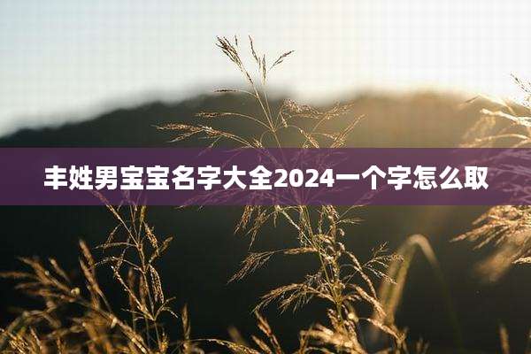 丰姓男宝宝名字大全2024一个字怎么取