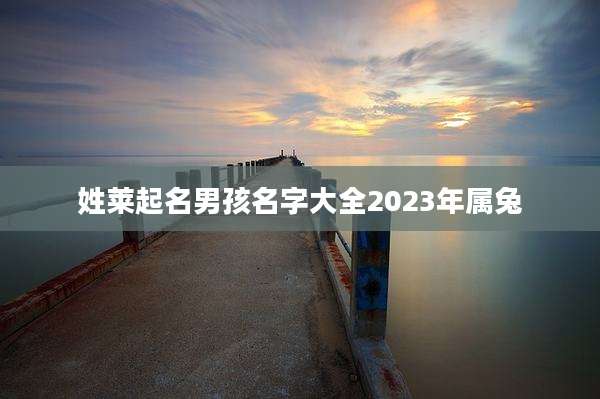 姓莱起名男孩名字大全2023年属兔