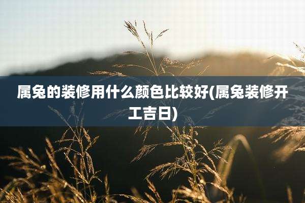 属兔的装修用什么颜色比较好(属兔装修开工吉日)