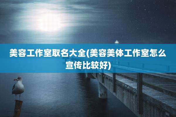 美容工作室取名大全(美容美体工作室怎么宣传比较好)