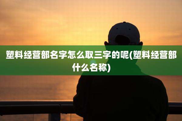 塑料经营部名字怎么取三字的呢(塑料经营部什么名称)