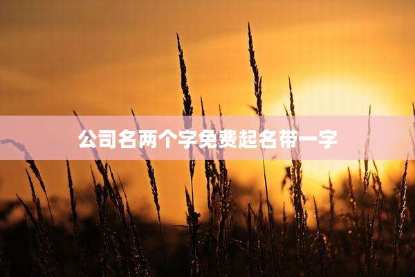 公司名两个字免费起名带一字