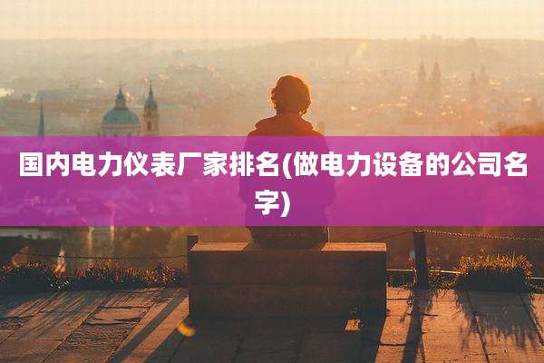 国内电力仪表厂家排名(做电力设备的公司名字)