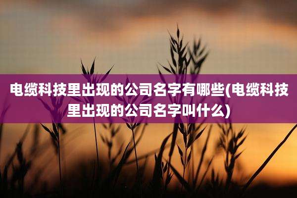电缆科技里出现的公司名字有哪些(电缆科技里出现的公司名字叫什么)