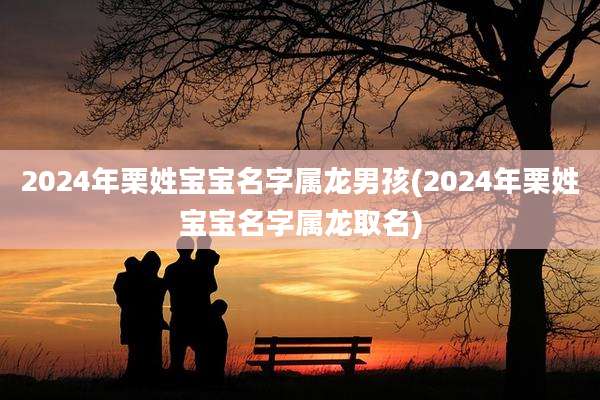 2024年栗姓宝宝名字属龙男孩(2024年栗姓宝宝名字属龙取名)