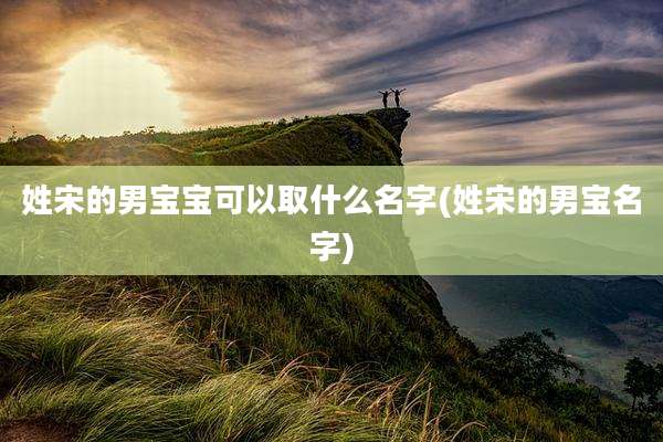 姓宋的男宝宝可以取什么名字(姓宋的男宝名字)