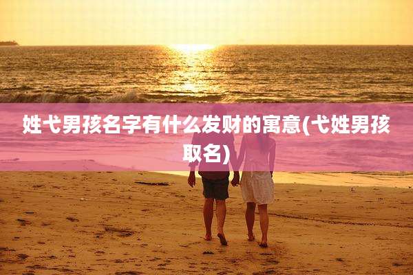 姓弋男孩名字有什么发财的寓意(弋姓男孩取名)