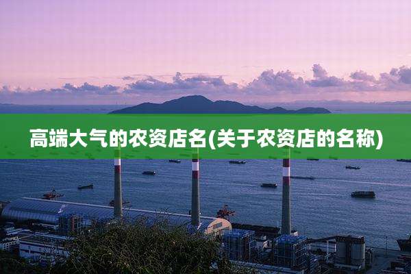 高端大气的农资店名(关于农资店的名称)