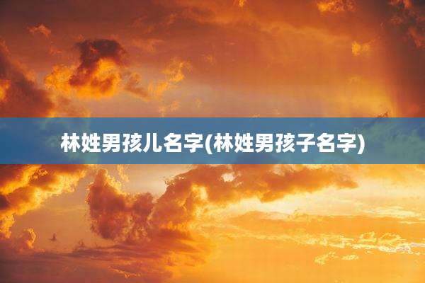 林姓男孩儿名字(林姓男孩子名字)