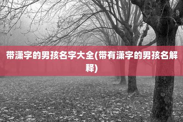 带潇字的男孩名字大全(带有潇字的男孩名解释)