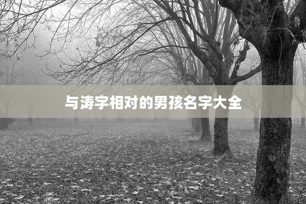 与涛字相对的男孩名字大全