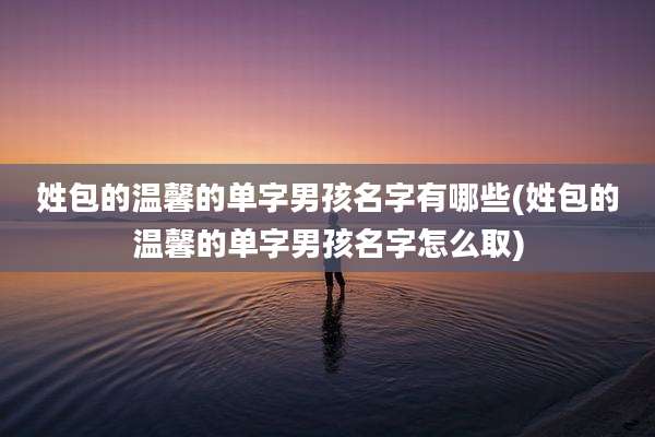 姓包的温馨的单字男孩名字有哪些(姓包的温馨的单字男孩名字怎么取)