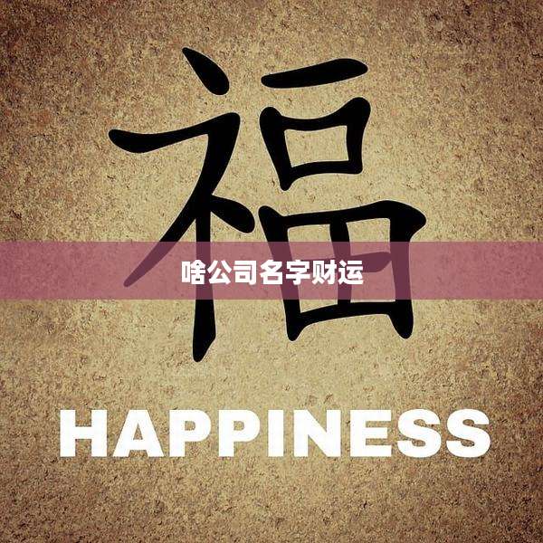 啥公司名字财运