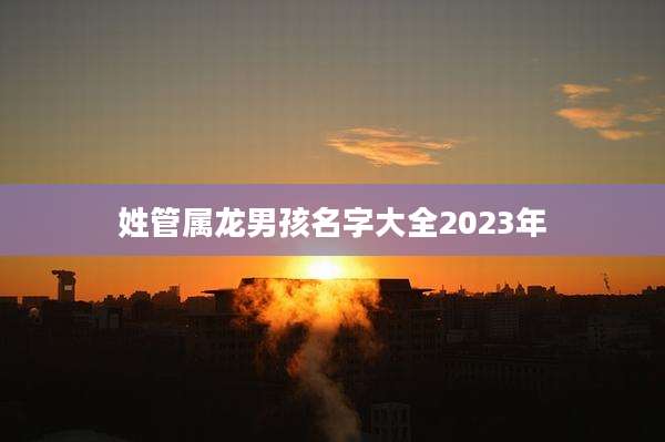 姓管属龙男孩名字大全2023年