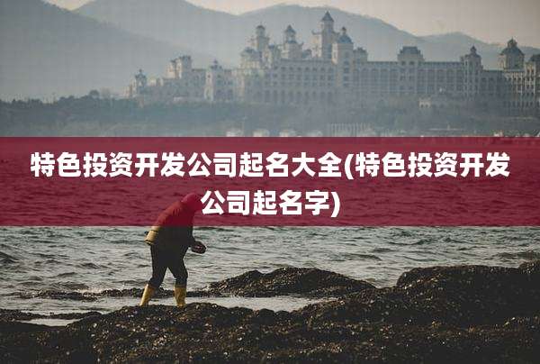 特色投资开发公司起名大全(特色投资开发公司起名字)