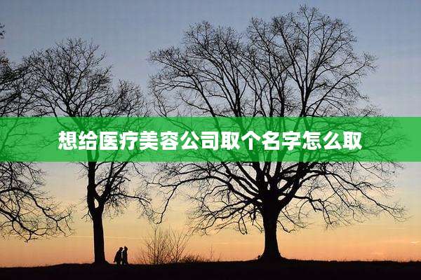 想给医疗美容公司取个名字怎么取