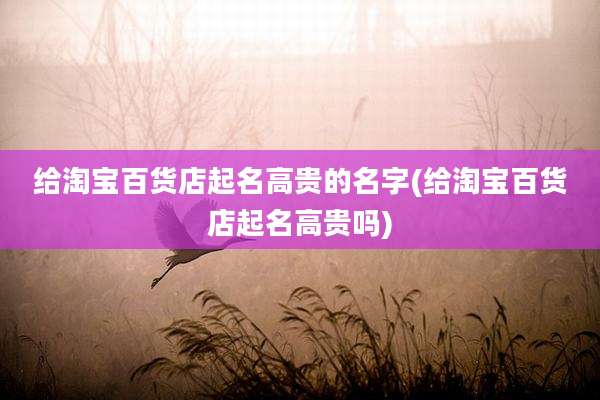 给淘宝百货店起名高贵的名字(给淘宝百货店起名高贵吗)