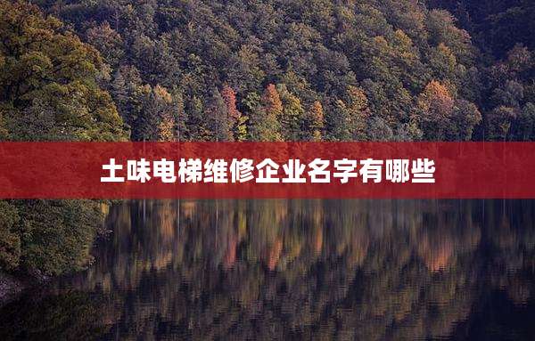 土味电梯维修企业名字有哪些