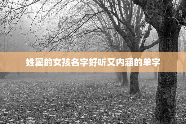 姓窦的女孩名字好听又内涵的单字