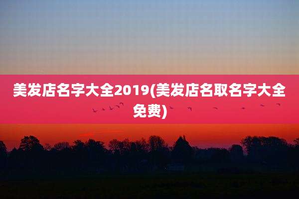 美发店名字大全2019(美发店名取名字大全免费)