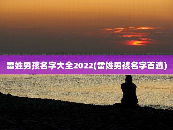 雷姓男孩名字大全2022(雷姓男孩名字首选)
