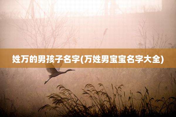 姓万的男孩子名字(万姓男宝宝名字大全)