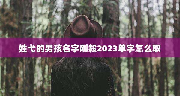 姓弋的男孩名字刚毅2023单字怎么取