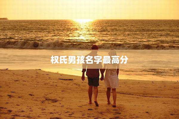权氏男孩名字最高分