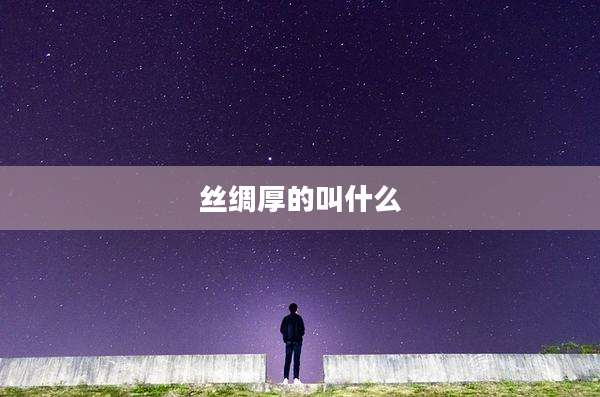 丝绸厚的叫什么