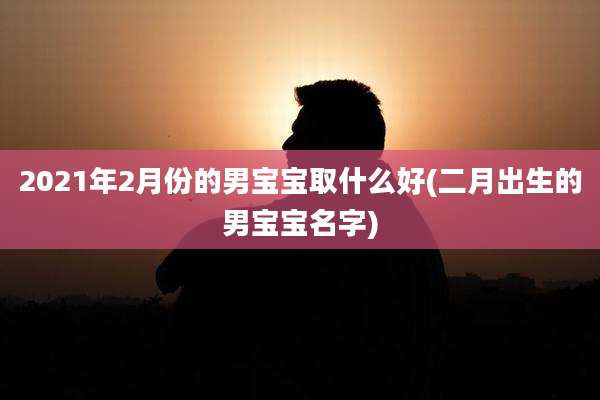 2021年2月份的男宝宝取什么好(二月出生的男宝宝名字)