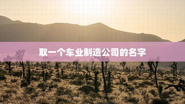 取一个车业制造公司的名字