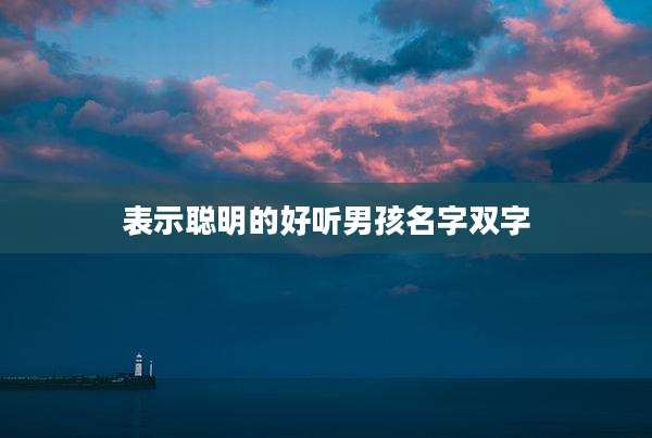 表示聪明的好听男孩名字双字