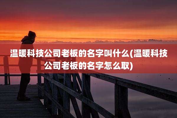 温暖科技公司老板的名字叫什么(温暖科技公司老板的名字怎么取)