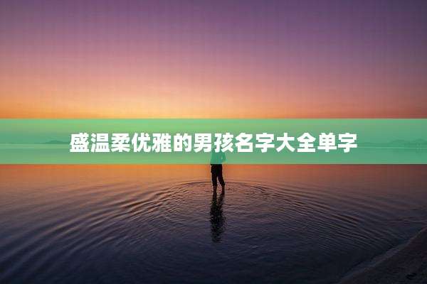 盛温柔优雅的男孩名字大全单字