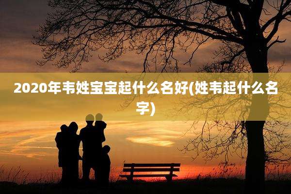 2020年韦姓宝宝起什么名好(姓韦起什么名字)