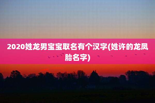 2020姓龙男宝宝取名有个汉字(姓许的龙凤胎名字)
