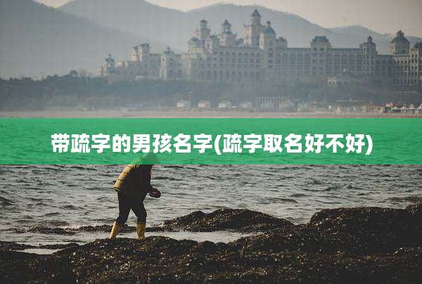 带疏字的男孩名字(疏字取名好不好)