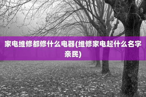 家电维修都修什么电器(维修家电起什么名字亲民)