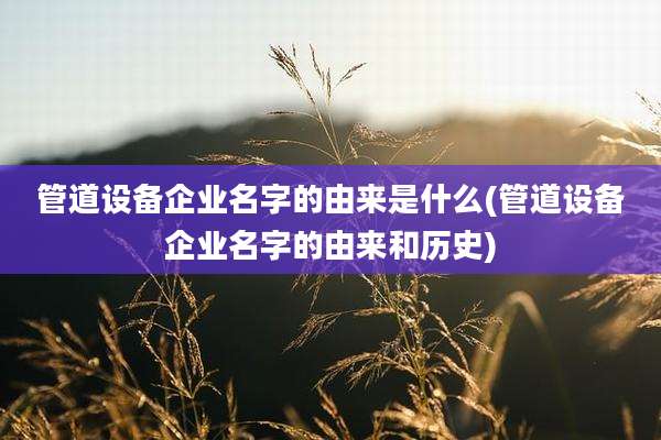 管道设备企业名字的由来是什么(管道设备企业名字的由来和历史)