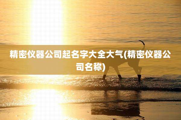 精密仪器公司起名字大全大气(精密仪器公司名称)