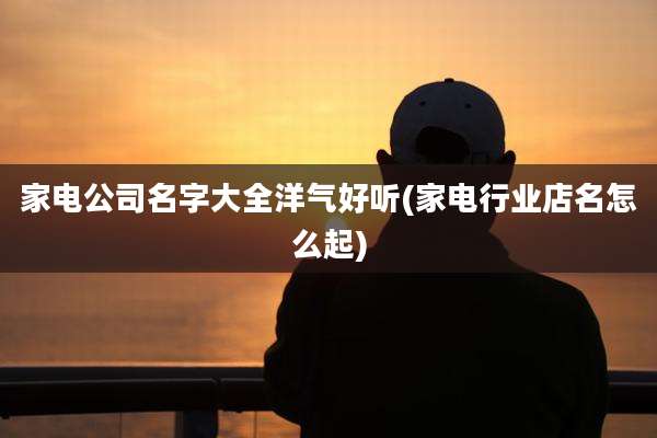 家电公司名字大全洋气好听(家电行业店名怎么起)