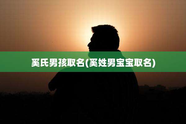 奚氏男孩取名(奚姓男宝宝取名)