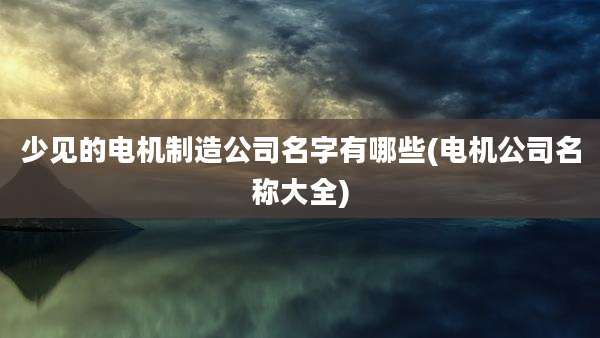少见的电机制造公司名字有哪些(电机公司名称大全)